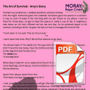 Amy's Story updated