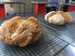 Bread